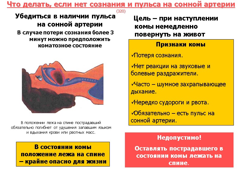 Что делать, если нет сознания и пульса на сонной артерии (320) Убедиться в наличии